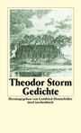 Theodor Storm: Gedichte, Buch