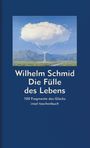 Wilhelm Schmid: Die Fülle des Lebens, Buch