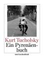 Kurt Tucholsky: Ein Pyrenäenbuch, Buch