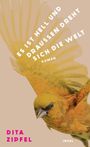 Dita Zipfel: Es ist hell und draußen dreht sich die Welt, Buch