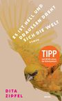 Dita Zipfel: Es ist hell und draußen dreht sich die Welt, Buch