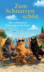 "Zum Schnurren schön. Die schönsten Katzengeschichten." Drei Katzen entspannt auf Liegestühlen mit Cocktails, im Freien.