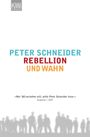Peter Schneider: Rebellion und Wahn, Buch