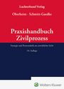 : Praxishandbuch Zivilprozess, Buch
