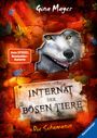 Gina Mayer: Internat der bösen Tiere, Band 5: Die Schamanin, Buch