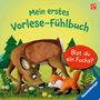 Kathrin Lena Orso: Mein erstes Vorlese-Fühlbuch: Bist du ein Fuchs?, Buch