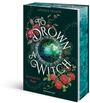 "To Drown a Witch", "Der Duft der Magie", "Lindsey Olsson", "Ravensburger". Illustration: Magischer Brunnen mit Rosen.