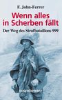 F. John-Ferrer: Wenn alles in Scherben fällt, Buch