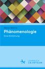 Maren Wehrle: Phänomenologie, Buch