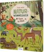 Sibylle Schumann: Tiere im Wald, Buch