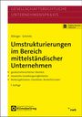 Jochen Ettinger: Umstrukturierungen im Bereich mittelständischer Unternehmen, Buch,Div.