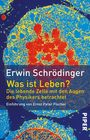 Erwin Schrödinger: Was ist Leben?, Buch
