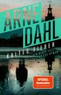 ARNE DAHL, KALTES FIEBER, SPIEGEL Bestseller, Abendlandschaft mit Turm und Vögeln, Spiegelung im Wasser.