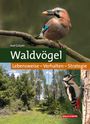 Axel Gutjahr: Waldvögel, Buch