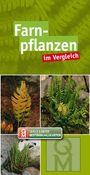 : Farnpflanzen, Buch