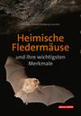 Christoph Robiller: Heimische Fledermäuse und ihre wichtigsten Merkmale, Buch