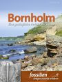 : Bornholm, Buch