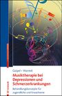 Josephine Geipel: Musiktherapie bei Depressionen und Schmerzerkrankungen, Buch