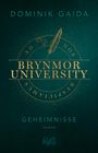 Dominik Gaida: Brynmor University - Geheimnisse, Buch