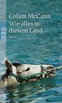 Colum McCann: Wie alles in diesem Land, Buch