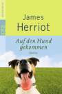 James Herriot: Auf den Hund gekommen. Großdruck, Buch