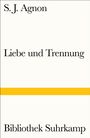 Samuel Joseph Agnon: Liebe und Trennung, Buch