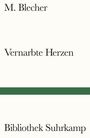 M. Blecher: Vernarbte Herzen, Buch