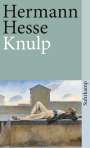 Hermann Hesse: Knulp, Buch