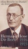 Hermann Hesse: »Eine Bresche ins Dunkel der Zeit!«, Buch