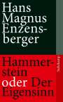 Hans Magnus Enzensberger: Hammerstein oder Der Eigensinn, Buch