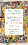 „Auf den Spuren des Steppenwolfs“ von Hermann Hesse, herausgegeben von Volker Michels. Bunte, abstrakte Illustration.