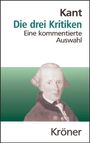 Immanuel Kant: Die drei Kritiken in ihrem Zusammenhang mit dem Gesamtwerk, Buch