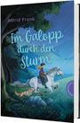 Astrid Frank: Im Galopp durch den Sturm, Buch