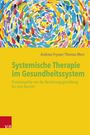 Andreas Fryszer: Systemische Therapie im Gesundheitssystem, Buch