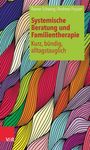 Rainer Schwing: Systemische Beratung und Familientherapie - kurz, bündig, alltagstauglich, Buch