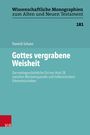 Yannick Schanz: Gottes vergrabene Weisheit, Buch