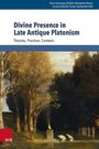 Divine Presence in Late Antique Platonism, Buch