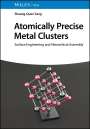 Shuang-Quan Zang: Atomically Precise Metal Clusters, Buch