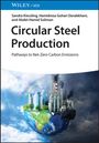 Sandra Kiessling: Circular Steel Production, Buch