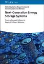 Next-Generation Energy Storage Systems, Buch
