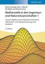 Rainer Ansorge: Mathematik in den Ingenieur- und Naturwissenschaften 1, Buch
