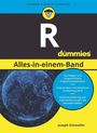 Joseph Schmuller: R Alles-in-einem-Band für Dummies, Buch