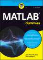 Jim Sizemore: Matlab für Dummies, Buch