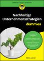 Meike Lerner: Nachhaltige Unternehmensstrategien für Dummies, Buch