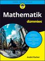 André Fischer: Mathematik für Dummies, Buch