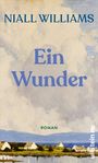 Text: "NIALL WILLIAMS Ein Wunder ROMAN". Landschaftsgemälde mit weißen Häusern vor Bergen und bewölktem Himmel.