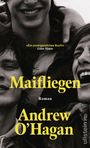 Andrew O'Hagan: Maifliegen, Buch