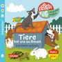 Kathrin Wessel: Baby Pixi (unkaputtbar) 189: Flippediflapp: Tiere bei uns zu Hause, Buch