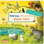 Maria Höck: Hör mal (Soundbuch): Erste Geschichten: Kleine Tiere, Buch