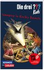 Boris Pfeiffer: Die drei ??? Kids Dein Fall: Vampire in Rocky Beach, Buch